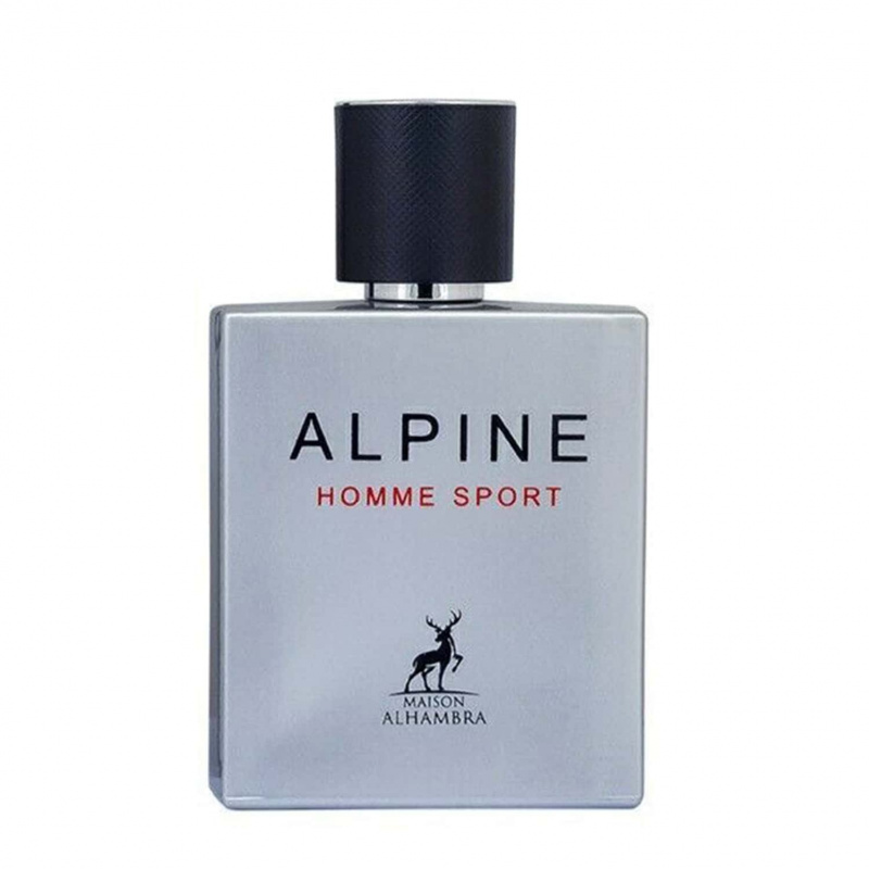 ALPINE HOMME SPORT